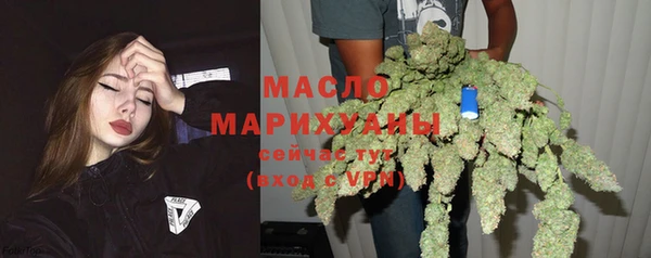 индика Бронницы
