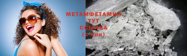 индика Бронницы
