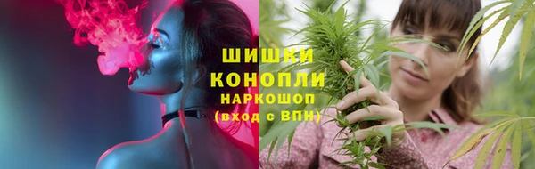 индика Бронницы