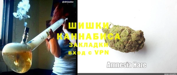 стаф Верея