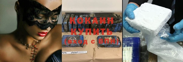 индика Бронницы