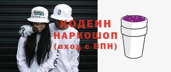 индика Бронницы