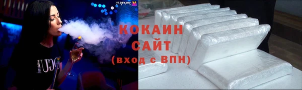 индика Бронницы