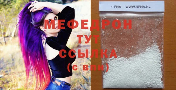 индика Бронницы