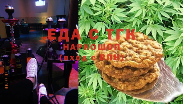 индика Бронницы