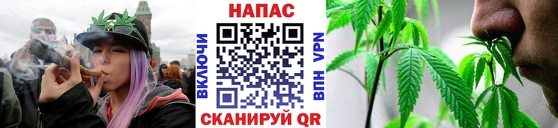 Купить  Карачаевск  Бошки марихуана марихуана 
